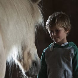 paardencoaching